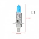 Set becuri halogen, Pegasus Skyline - H1 COD024CHA - LICHIDARE STOC -wowreduceri.ro Set becuri halogen, Pegasus Skyline - H1 COD024CHA ( LICHIDARE STOC )