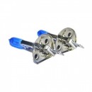 Set becuri halogen, Pegasus Skyline - H1 COD024CHA - LICHIDARE STOC -wowreduceri.ro Set becuri halogen, Pegasus Skyline - H1 COD024CHA ( LICHIDARE STOC )