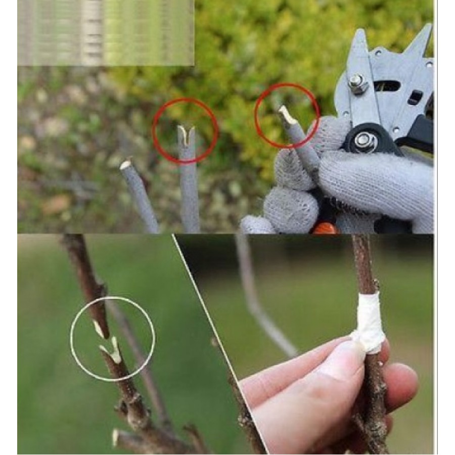 2 IN 1 Cleste de altoit si Foarfeca de mana pentru gradina 2 IN 1 Cleste de altoit si Foarfeca de mana pentru gradina