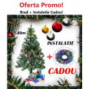 Brad artificial 1,8 m + instalatie Cadou - Brazi -wowreduceri.ro Brad artificial 1,8 m + instalatie Cadou - Brazi - wowreduceri.ro