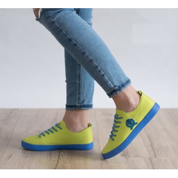 Tenesi Sport DDC40 R2/3/3 Tenesi Sport DDC40 R2/3/3