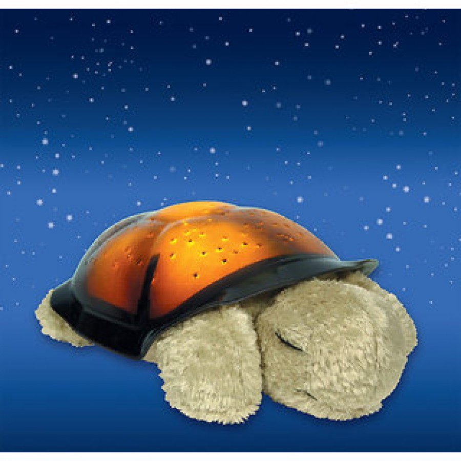 LICHIDARE STOC:BROSCUTA PROIECTOR - TURTLE NIGHT SKY CONSTELLATIONS. - LICHIDARE STOC -wowreduceri.ro LICHIDARE STOC:BROSCUTA PROIECTOR - TURTLE NIGHT SKY CONSTELLATIONS. ( LICHIDARE STOC )