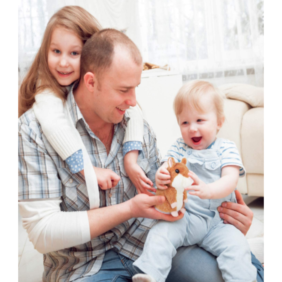 Jucarie Interactiva Hamster Vorbitor din Plus ( Jucarii )