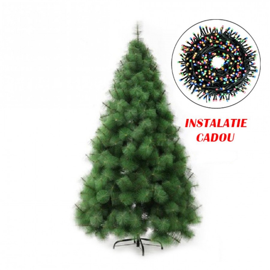 Brad Pin VERDE artificial stufos inaltime 240 cm + INSTALATIE LED CADOU - Brazi -wowreduceri.ro Brad Pin VERDE artificial stufos inaltime 240 cm + INSTALATIE LED CADOU ( Brazi )
